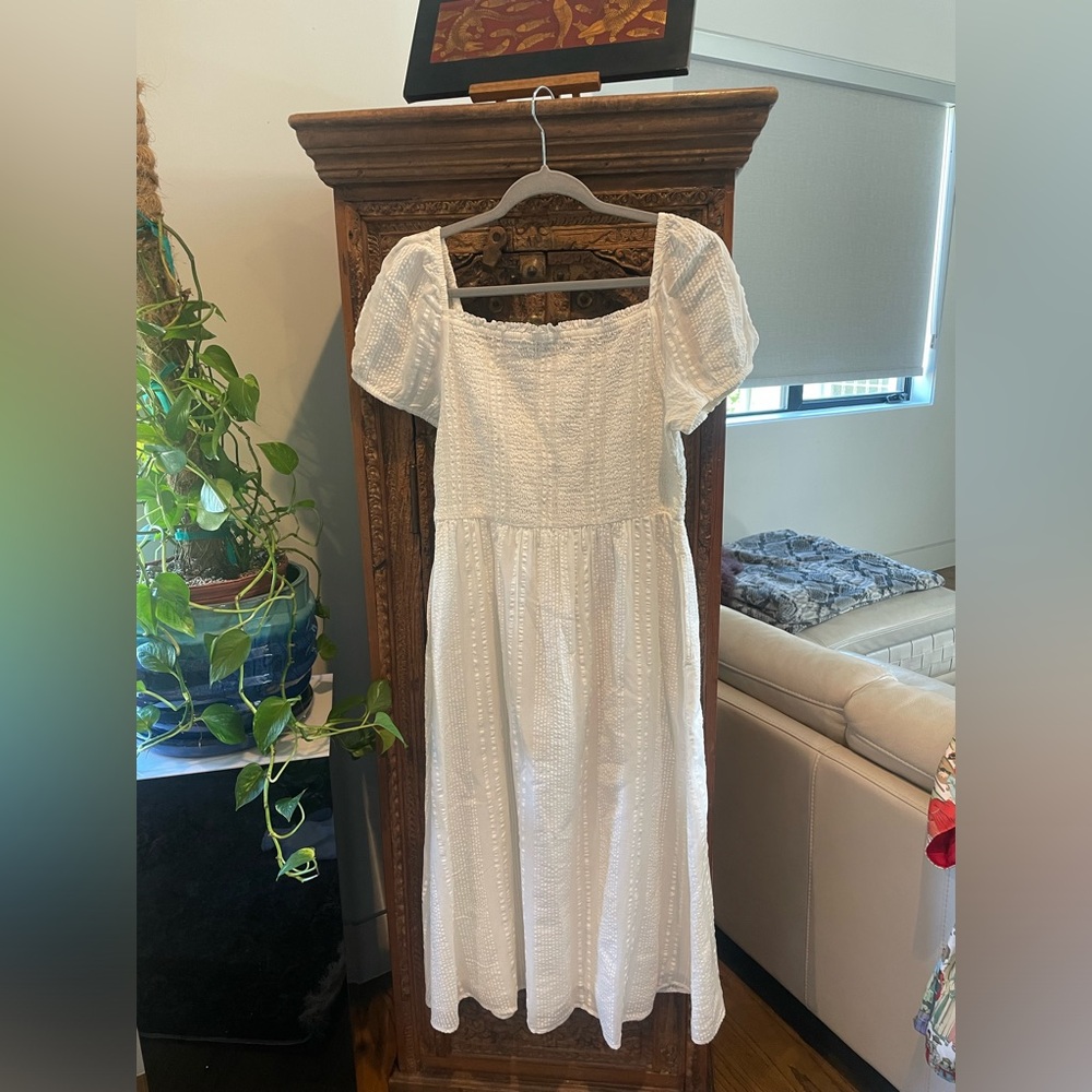 Loft NWT Dress
